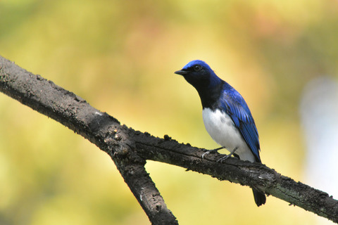 DSC_0082.jpg