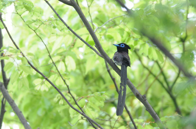 DSC_0111.jpg