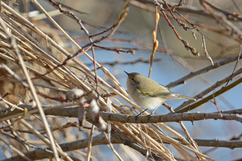DSC_0116.jpg