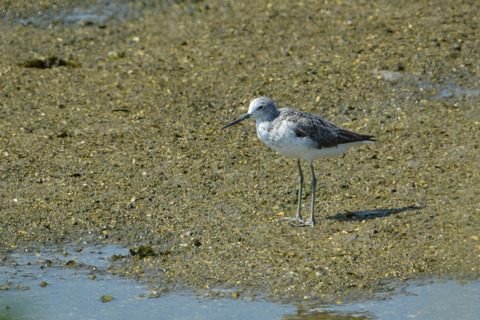 DSC_0127.jpg
