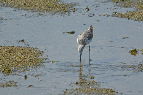 DSC_0140.jpg