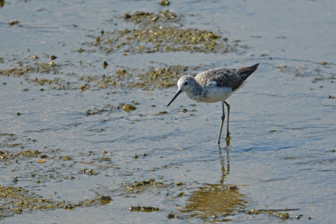 DSC_0143.jpg