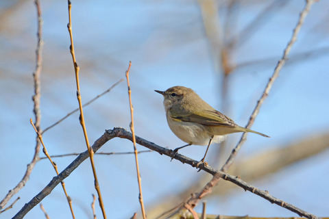DSC_0174.jpg