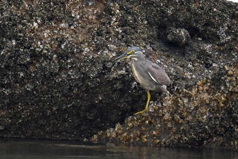 DSC_0213.jpg