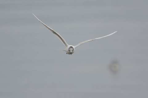 DSC_0233.jpg