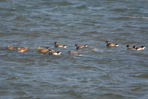 DSC_0257.jpg