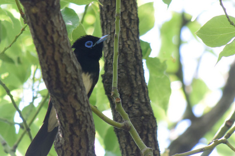 DSC_0273.jpg
