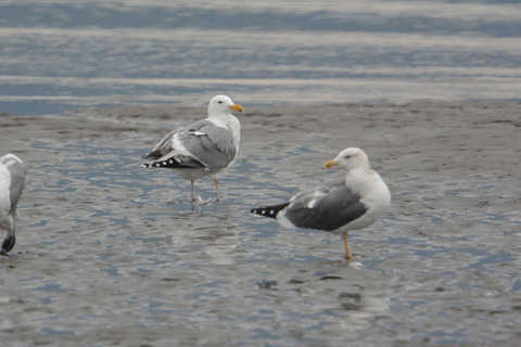 DSC_0302.jpg