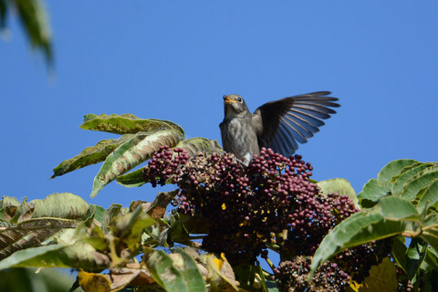 DSC_0358.jpg