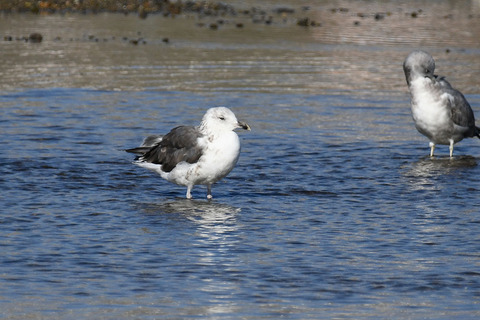 DSC_0361.jpg