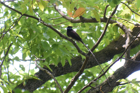 DSC_0378.jpg