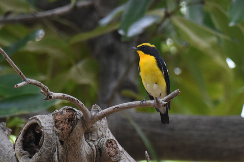 DSC_0427.jpg