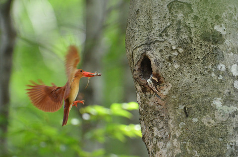 DSC_0456.jpg