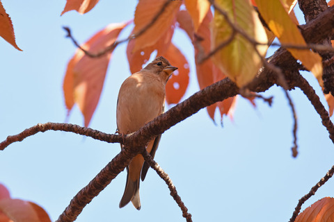 DSC_0541.jpg