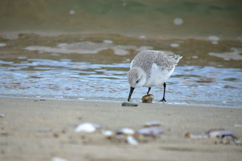 DSC_0577.jpg