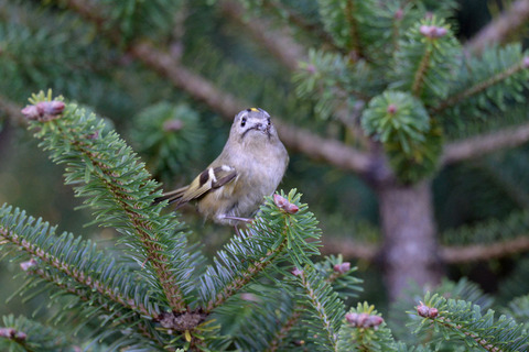 DSC_0579.jpg