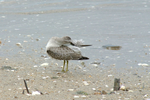 DSC_0579.jpg