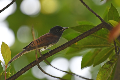 DSC_0587.jpg