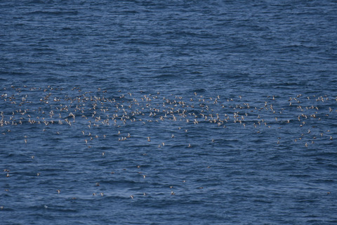 DSC_0634.jpg