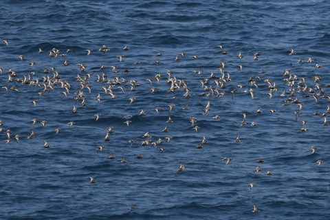 DSC_0636.jpg