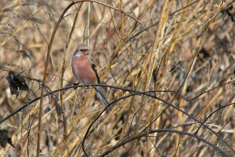 DSC_0636.jpg