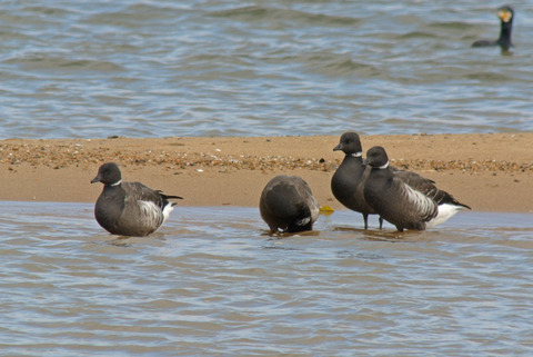 DSC_0653.jpg