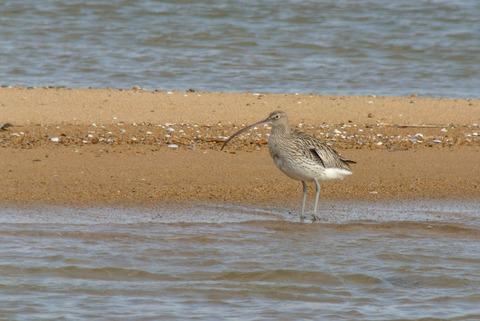 DSC_0664.jpg