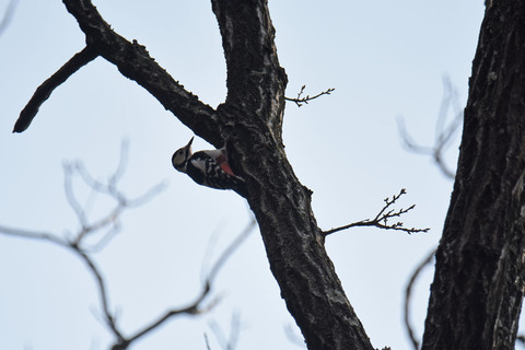 DSC_0671.jpg