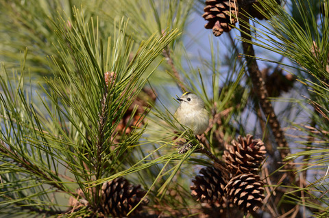 DSC_0710.jpg