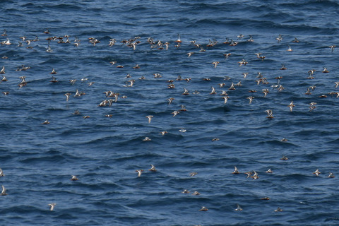 DSC_0714.jpg