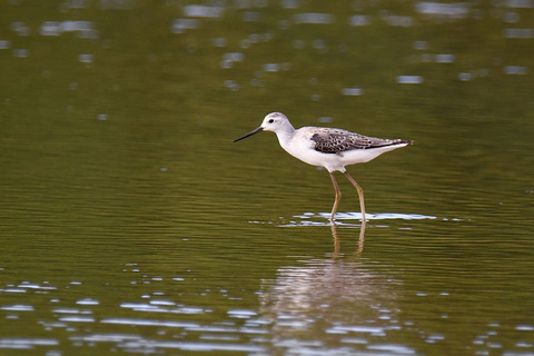 DSC_0729.jpg