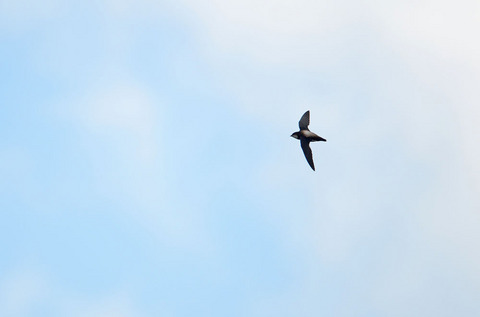 DSC_0735.jpg