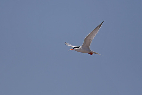 DSC_0814.jpg