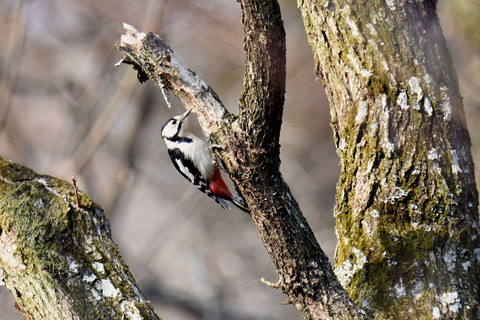 DSC_0820.jpg