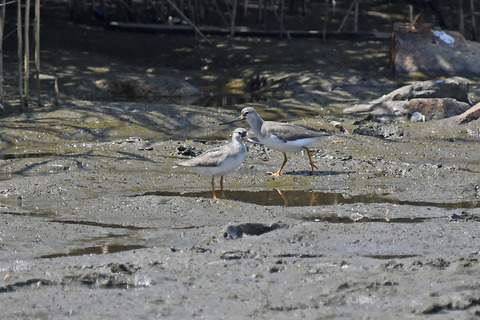 DSC_0821.jpg