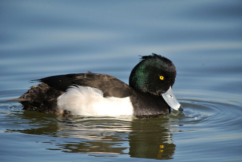 DSC_0835.jpg