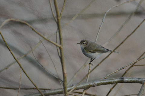 DSC_0840.jpg