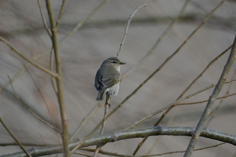 DSC_0853.jpg