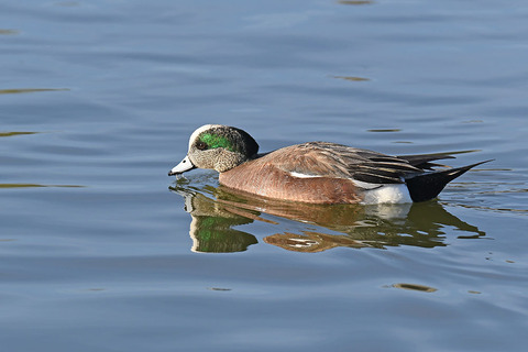 DSC_0871.jpg