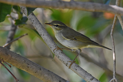 DSC_0926.jpg