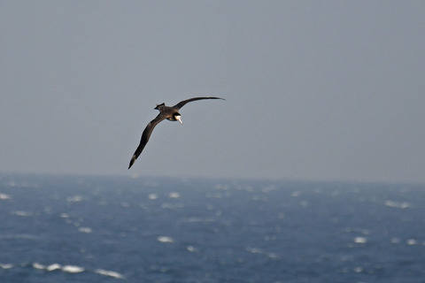 DSC_0970.jpg