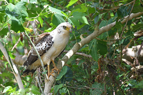 DSC_1023.jpg