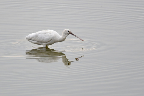DSC_1025.jpg