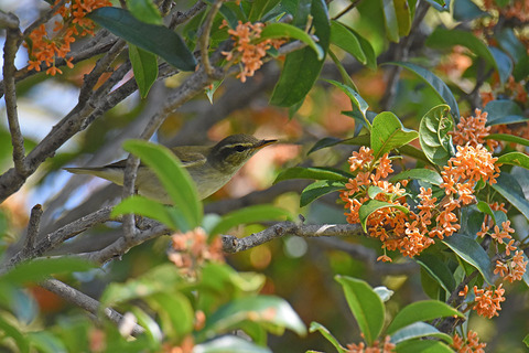 DSC_1034.jpg
