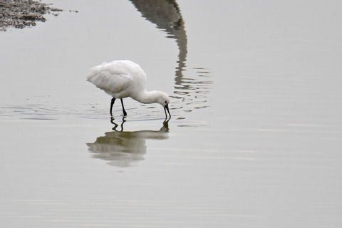 DSC_1077.jpg