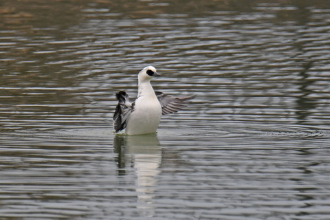 DSC_1183.jpg