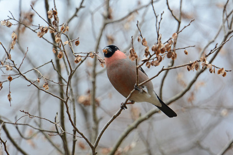 DSC_1191.jpg