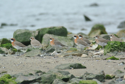 DSC_1262.jpg