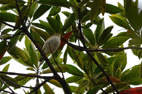 DSC_1273.jpg