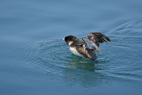 DSC_1315.jpg